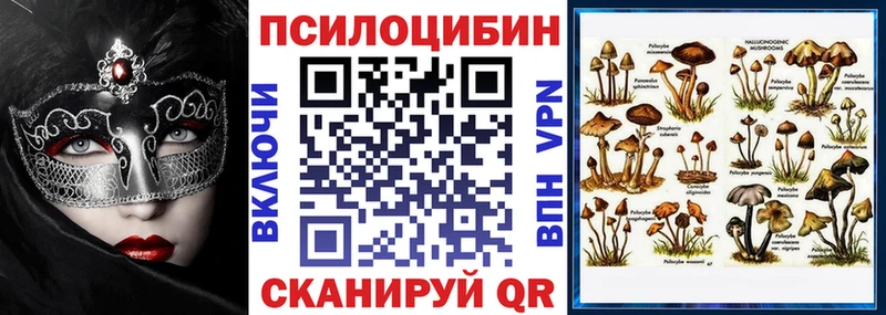 Псилоцибиновые грибы прущие грибы  наркотики  Белогорск 